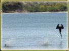 Pelicanos de pesca