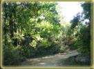 Carretera Mansin/Nicoya, 2008